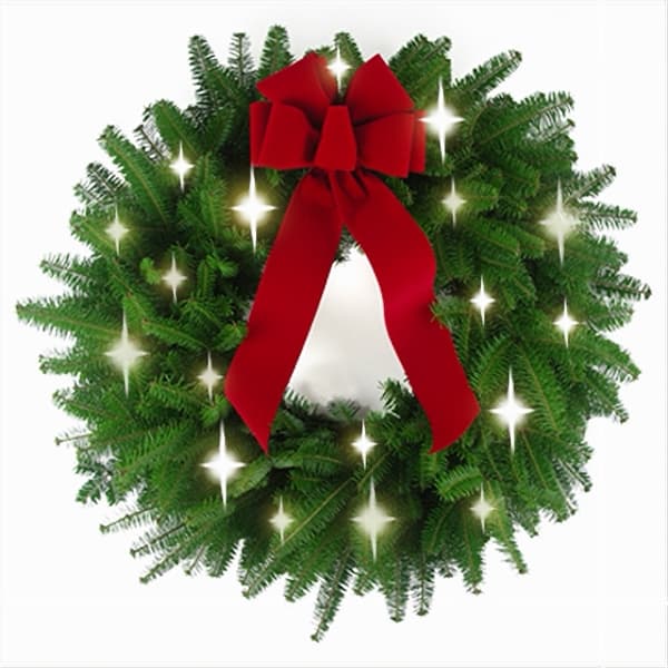 Fresh live Balsam Fir wreath adorned with white twinkling lights and festive red bow.