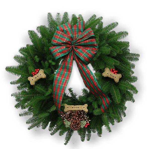 Fresh Balsam Fir wreath with dog bones, red berries, reindeer moss and large tan tartan 6-loop bow
