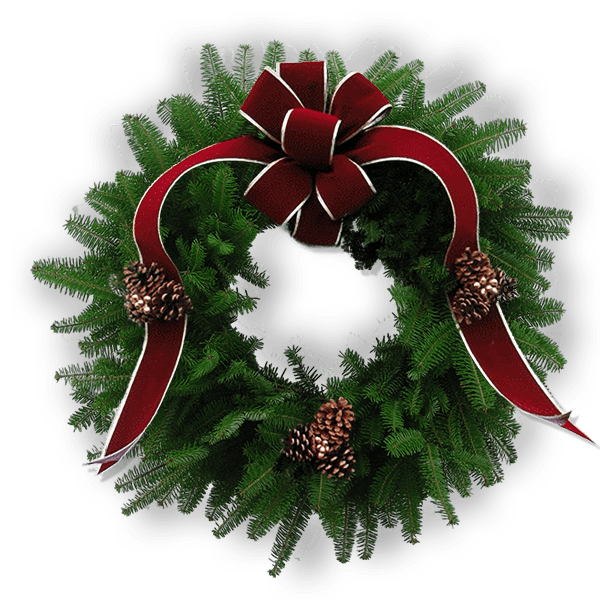 Fresh Balsam Fir wreath with a large burgundy and gold bow, pinecone clusters and golden berries