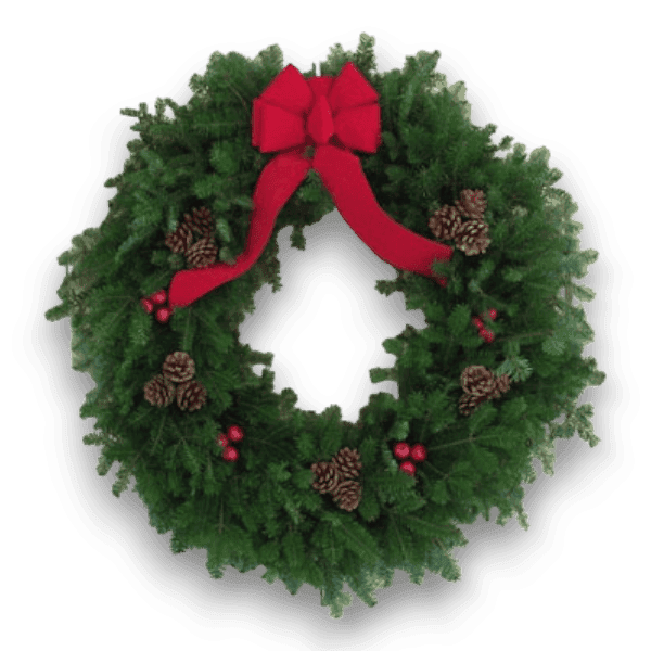 Large Balsam Christmas Wreaths 